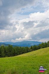 2025-08-23 KTRE 2025_133735_20250823-8116